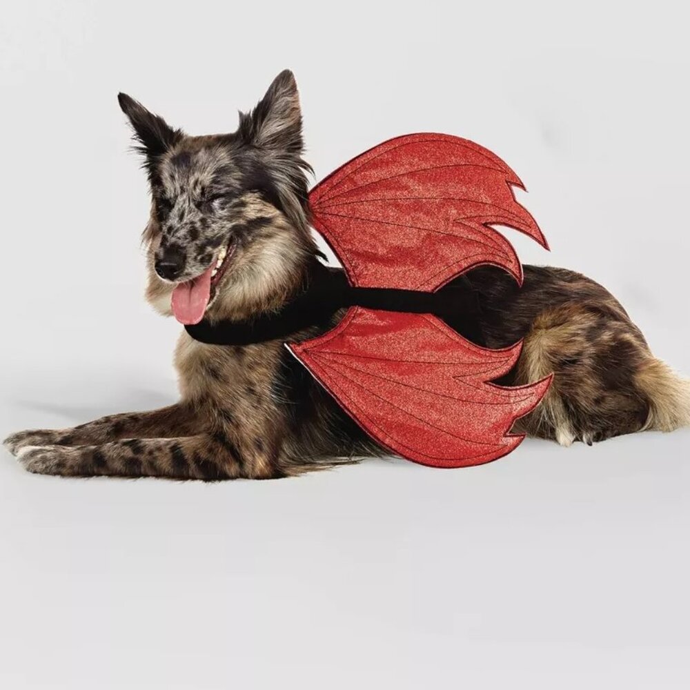 Dog Pet Hyde & Eek Reversible Devil  ANGEL WINGS Halloween Costume Size S/M NWT